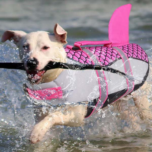 SharkDog Vest - The fun, floaty vest for your shark-dog